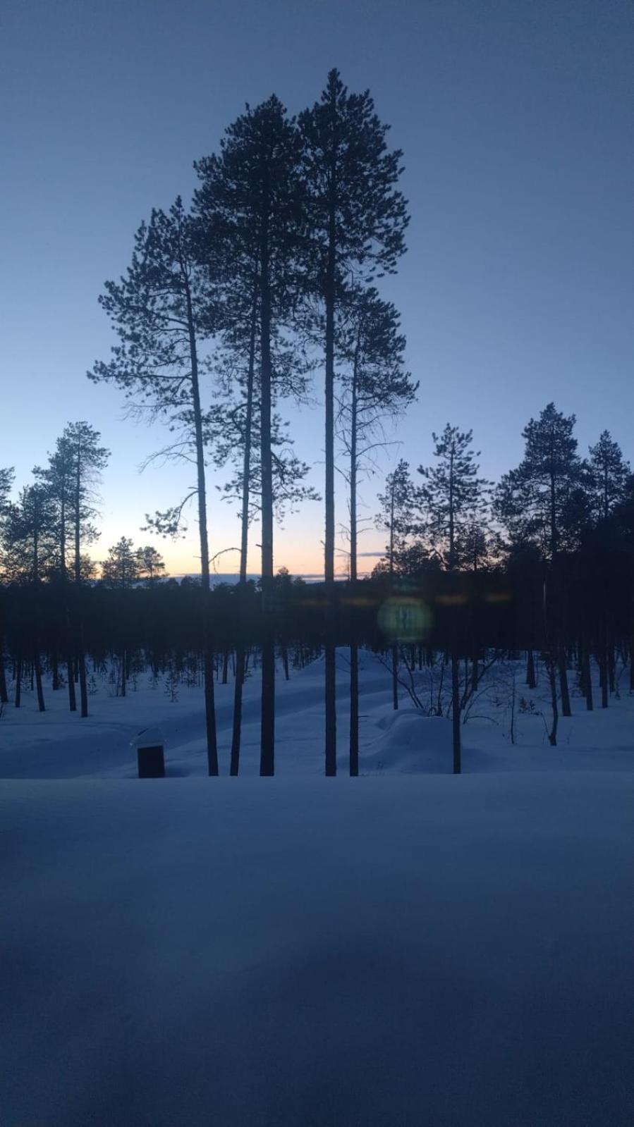 Villa Lusma Inari Exteriér fotografie